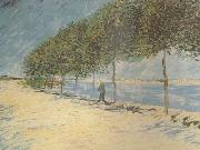 Vincent Van Gogh Wald along the Banks of the Seine near Asnieres (nn04) France oil painting artist